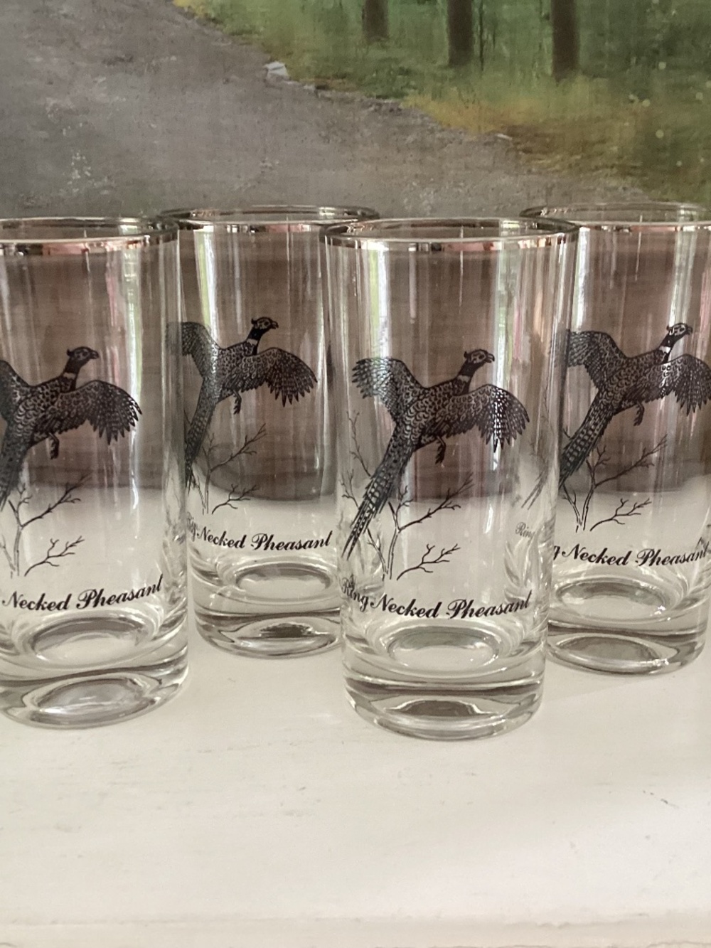 4 Federal Glass Tumblers Sportsman Ring Neck Pheasant platinum Rim MCM Barware